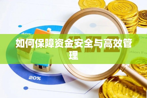 田林如何保障资金安全与高效管理