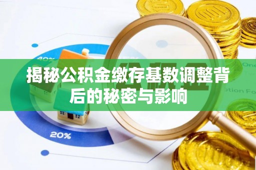 田林揭秘公积金缴存基数调整背后的秘密与影响