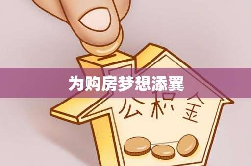 田林为购房梦想添翼
