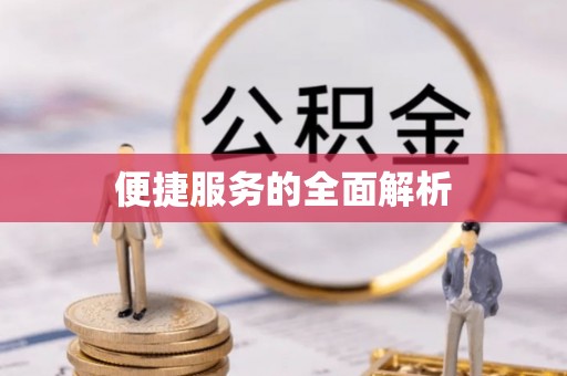 田林便捷服务的全面解析