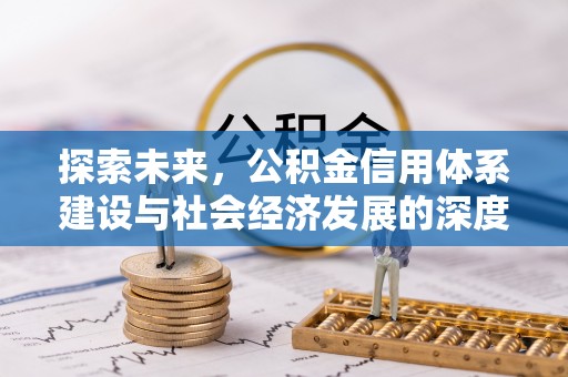 田林探索未来，公积金信用体系建设与社会经济发展的深度融合