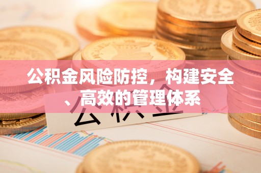 田林公积金风险防控，构建安全、高效的管理体系