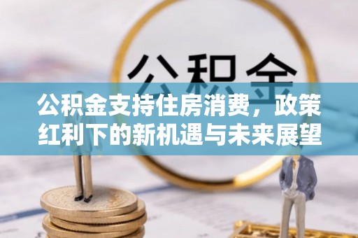 田林公积金支持住房消费，政策红利下的新机遇与未来展望