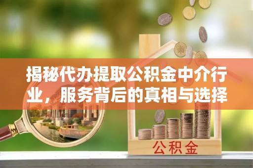 田林揭秘代办提取公积金中介行业，服务背后的真相与选择指南