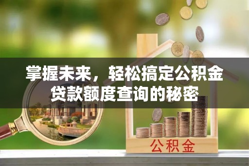田林掌握未来，轻松搞定公积金贷款额度查询的秘密