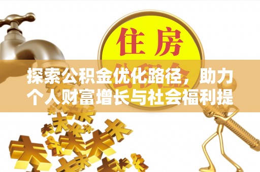 田林探索公积金优化路径，助力个人财富增长与社会福利提升