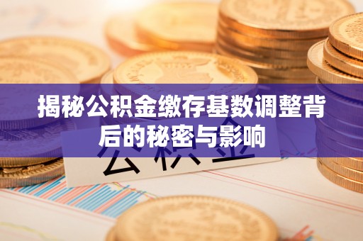 田林揭秘公积金缴存基数调整背后的秘密与影响