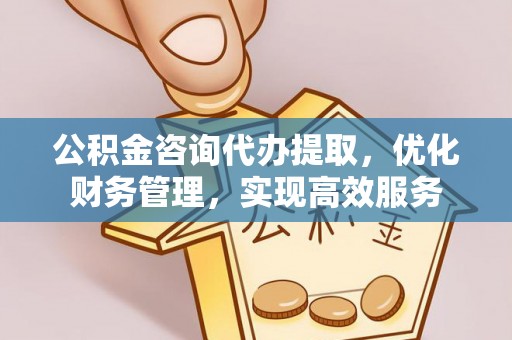田林公积金咨询代办提取，优化财务管理，实现高效服务